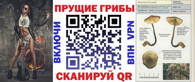 Галлюциногенные грибы MAGIC MUSHROOMS  где купить наркоту  Архангельск 
