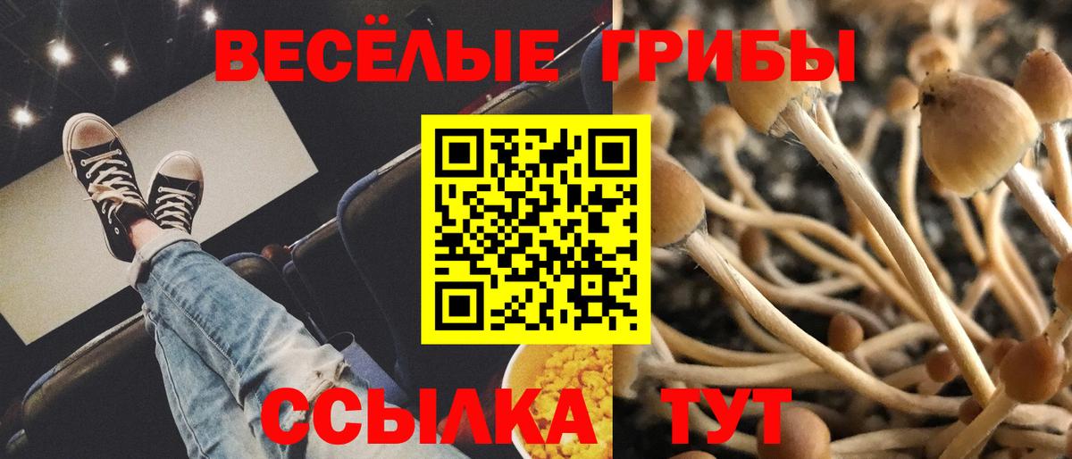 Псилоцибиновые грибы Psilocybe  Галлюциногенные грибы Psilocybe  Архангельск  Вход с VPN 
