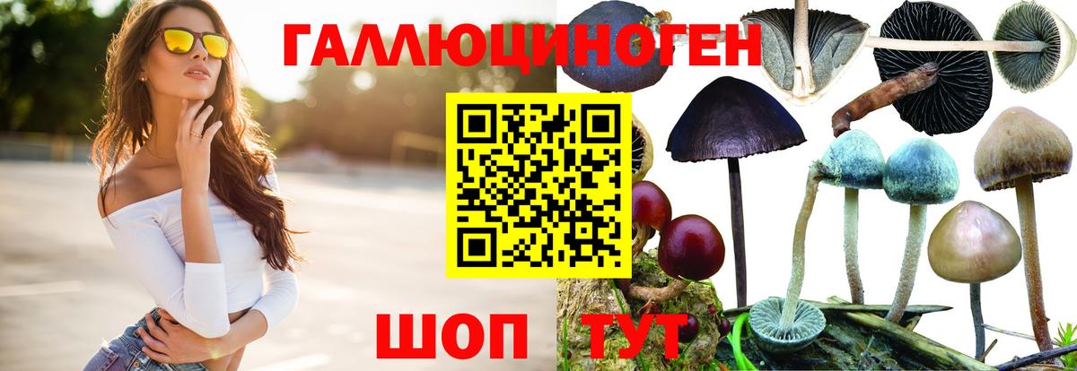 Галлюциногенные грибы GOLDEN TEACHER Архангельск